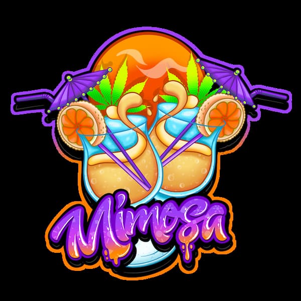 Mimosa semilla > Pure Instinto | Semillas feminizadas  |  Sativa